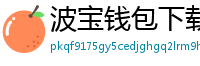 波宝钱包下载